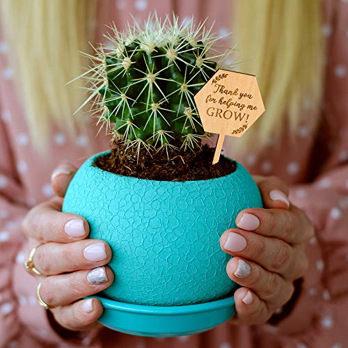 Best Teacher Gifts Ideas to Buy Right Now